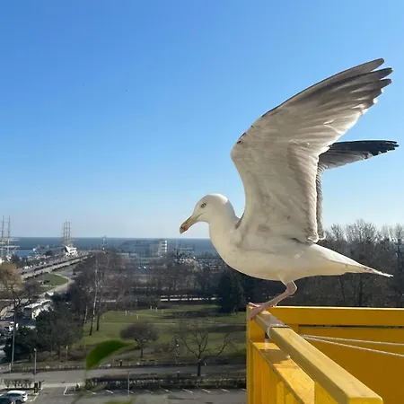 Apartament Skwer Kosciuszki