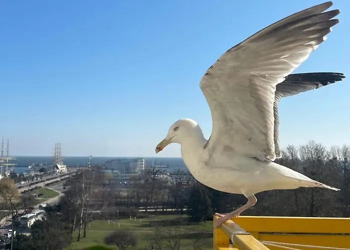 Apartment Skwer Kosciuszki